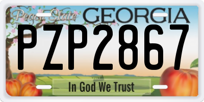 GA license plate PZP2867