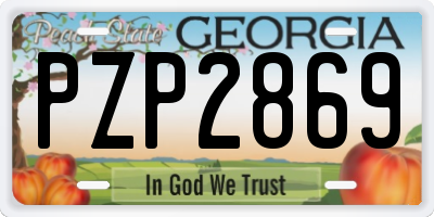 GA license plate PZP2869