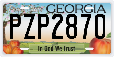 GA license plate PZP2870
