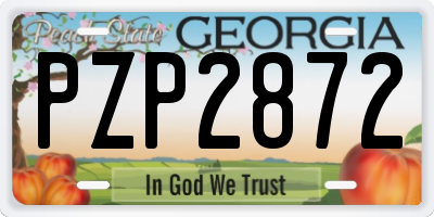 GA license plate PZP2872