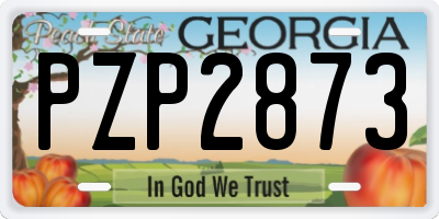GA license plate PZP2873