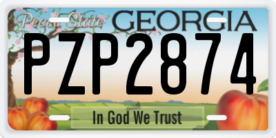 GA license plate PZP2874
