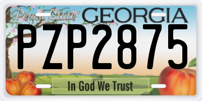 GA license plate PZP2875