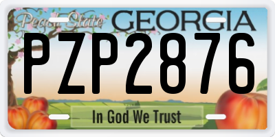 GA license plate PZP2876