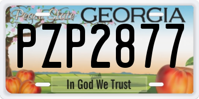 GA license plate PZP2877