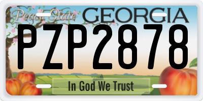 GA license plate PZP2878