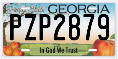 GA license plate PZP2879
