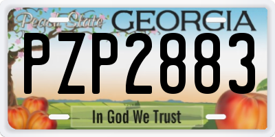 GA license plate PZP2883