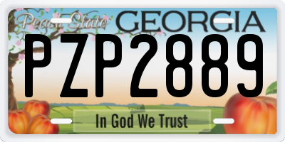 GA license plate PZP2889