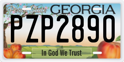 GA license plate PZP2890