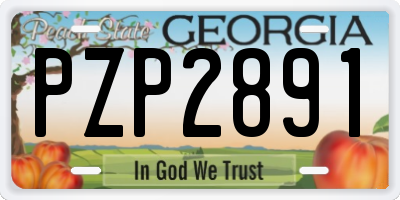 GA license plate PZP2891