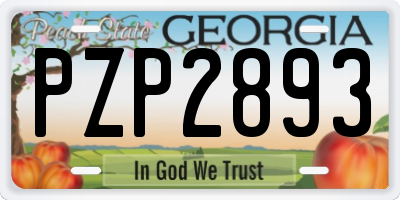 GA license plate PZP2893