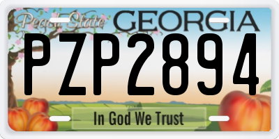 GA license plate PZP2894