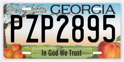 GA license plate PZP2895