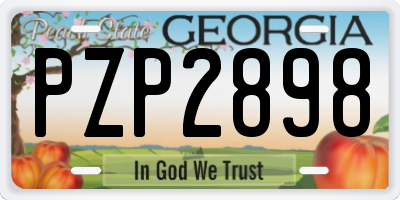 GA license plate PZP2898