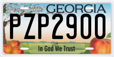 GA license plate PZP2900