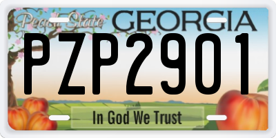 GA license plate PZP2901