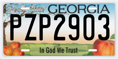 GA license plate PZP2903