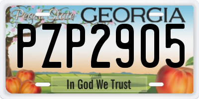 GA license plate PZP2905