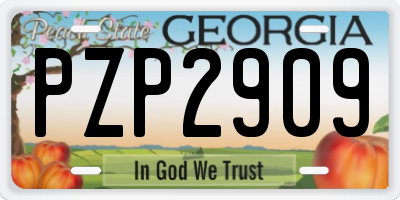 GA license plate PZP2909