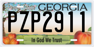 GA license plate PZP2911