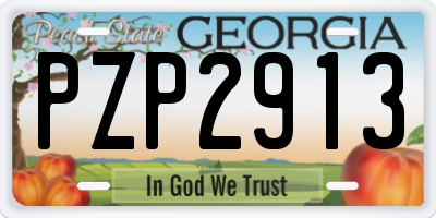 GA license plate PZP2913