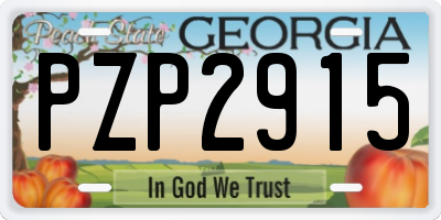 GA license plate PZP2915