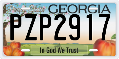 GA license plate PZP2917