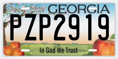 GA license plate PZP2919