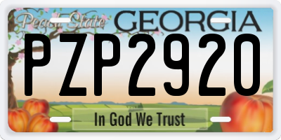 GA license plate PZP2920