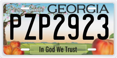 GA license plate PZP2923