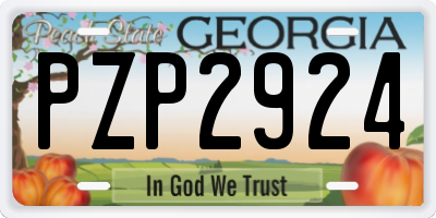 GA license plate PZP2924