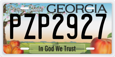 GA license plate PZP2927
