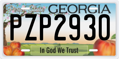 GA license plate PZP2930