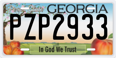 GA license plate PZP2933