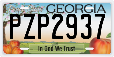 GA license plate PZP2937