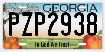 GA license plate PZP2938