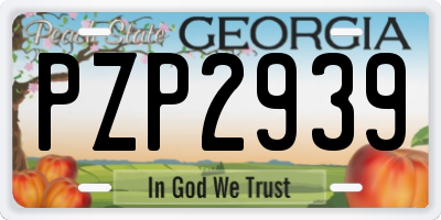 GA license plate PZP2939