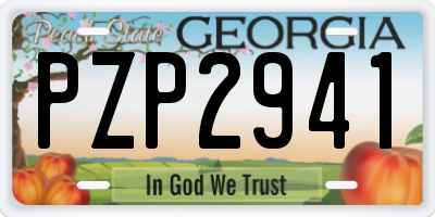 GA license plate PZP2941