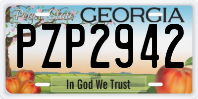 GA license plate PZP2942