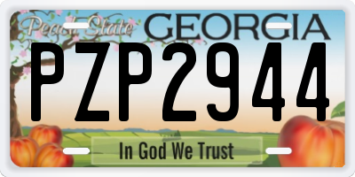 GA license plate PZP2944