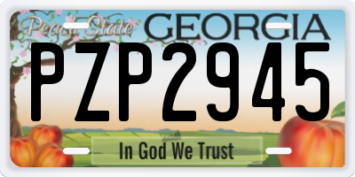 GA license plate PZP2945