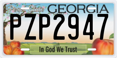 GA license plate PZP2947