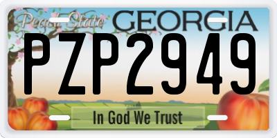 GA license plate PZP2949