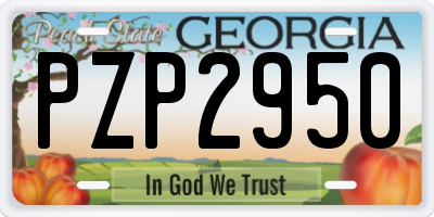 GA license plate PZP2950