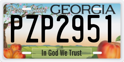 GA license plate PZP2951