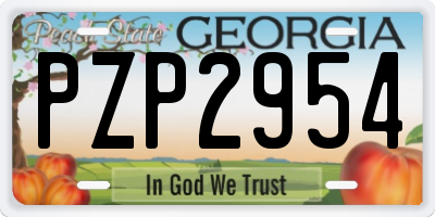 GA license plate PZP2954