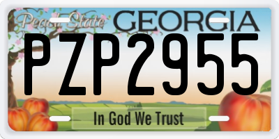 GA license plate PZP2955