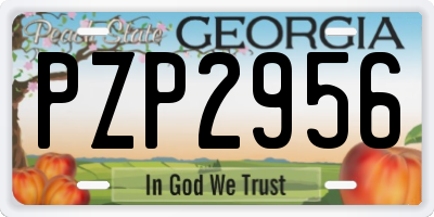 GA license plate PZP2956