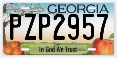 GA license plate PZP2957